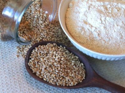 Hard white wheat and milled fresh flour