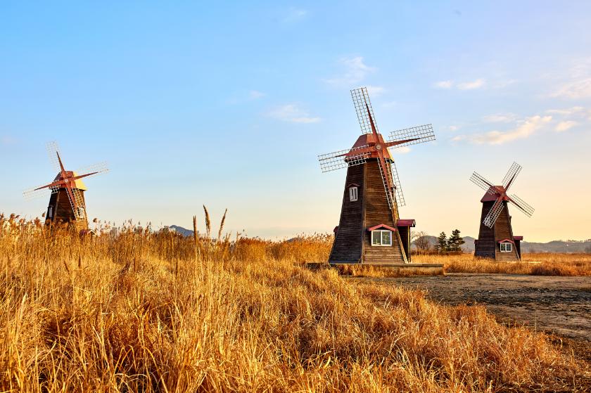 Field of grain and windmills - Image by: Matthew Schwartz