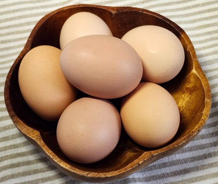 Eggs in Wooden Bowl