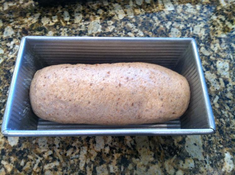 Formed bread loaf in loaf pan