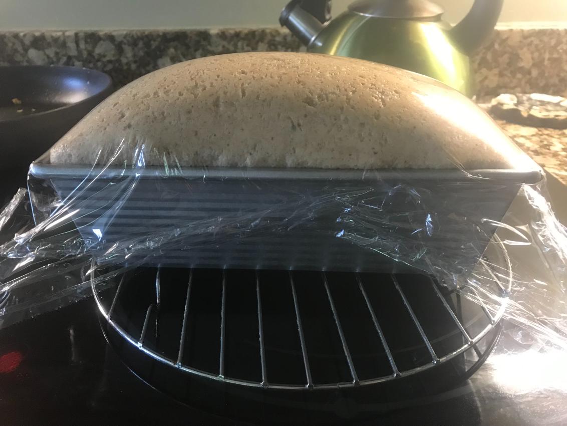 Risen Loaf on Rack