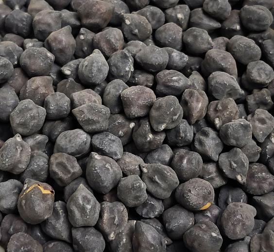 Black Garbanzo Beans
