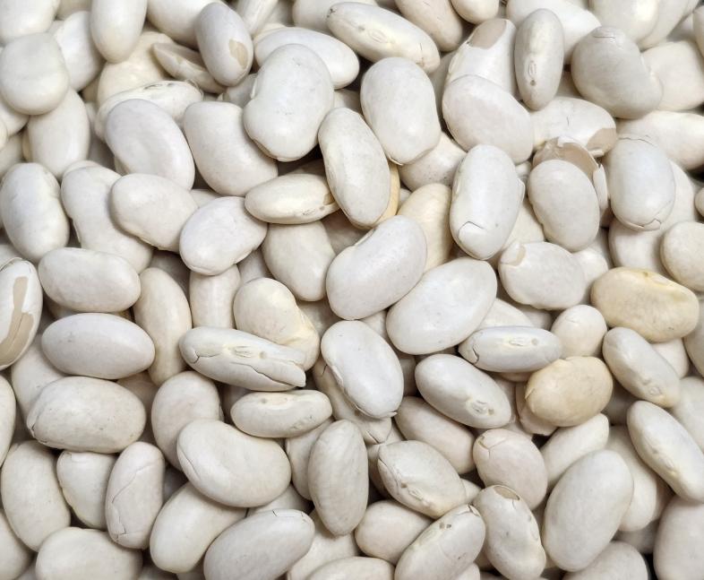 Great Northern Beans