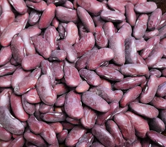 Kidney Beans